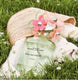 Marcc Jacobss Daisy Spring Eau So Fresh (ODP)